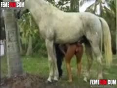 A gorgeous girl approaches their horse for beastiality intercourse with her wicked boyfriend.